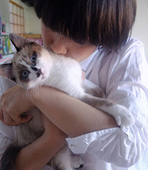 Timai à la Lemonade