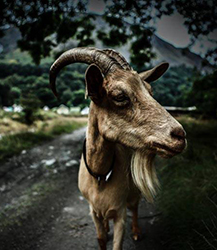 Out-of-the-Box Wisdom