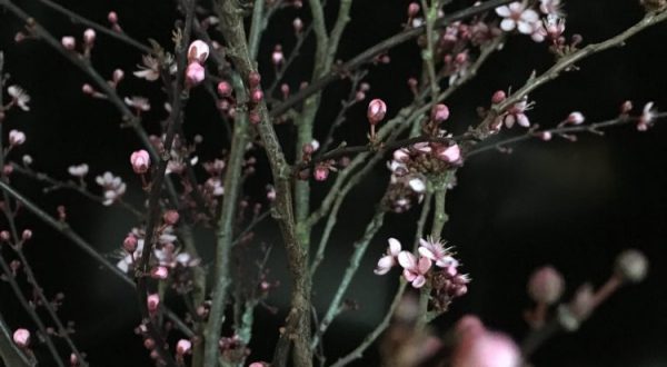 new_about__750_portrait