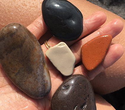 mes découvertes de Juillet